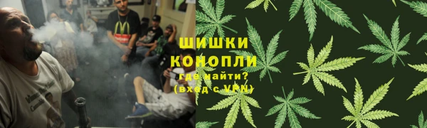 молекула духа Гусиноозёрск