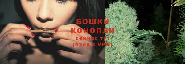 молекула духа Гусиноозёрск