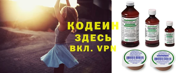 молекула духа Гусиноозёрск