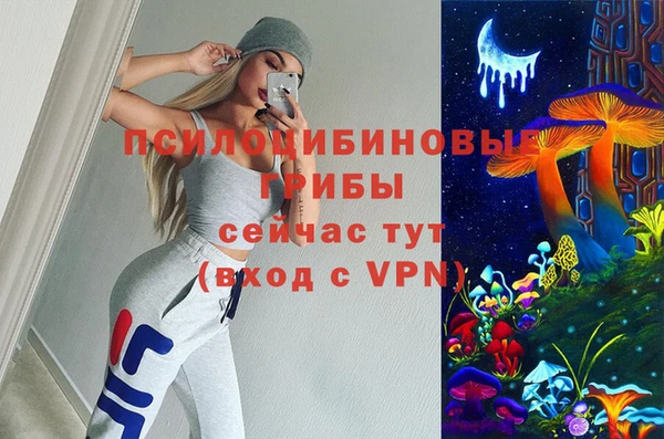 скорость Гусь-Хрустальный