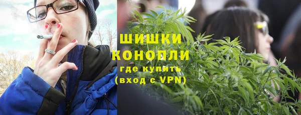 молекула духа Гусиноозёрск